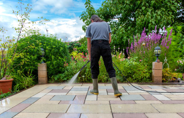 Best Restaurant Pressure Washing  in Albany, WI